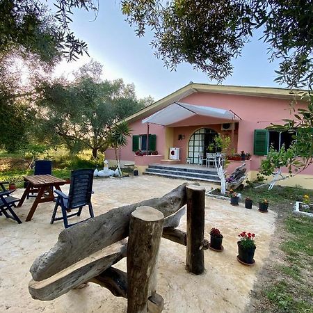 Endless Green: Feel Free And Cozy In Nature Περιβόλι Εξωτερικό φωτογραφία