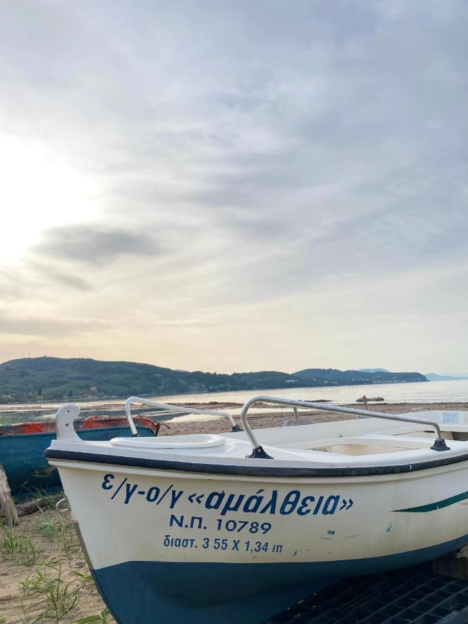 Endless Green: Feel Free And Cozy In Nature Περιβόλι Εξωτερικό φωτογραφία