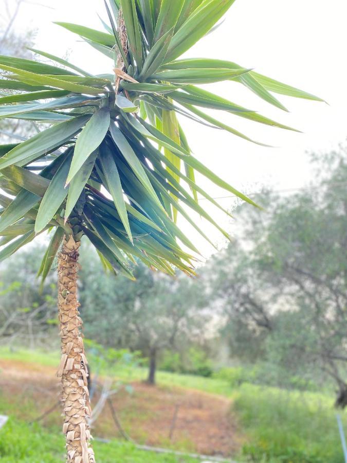 Endless Green: Feel Free And Cozy In Nature Περιβόλι Εξωτερικό φωτογραφία