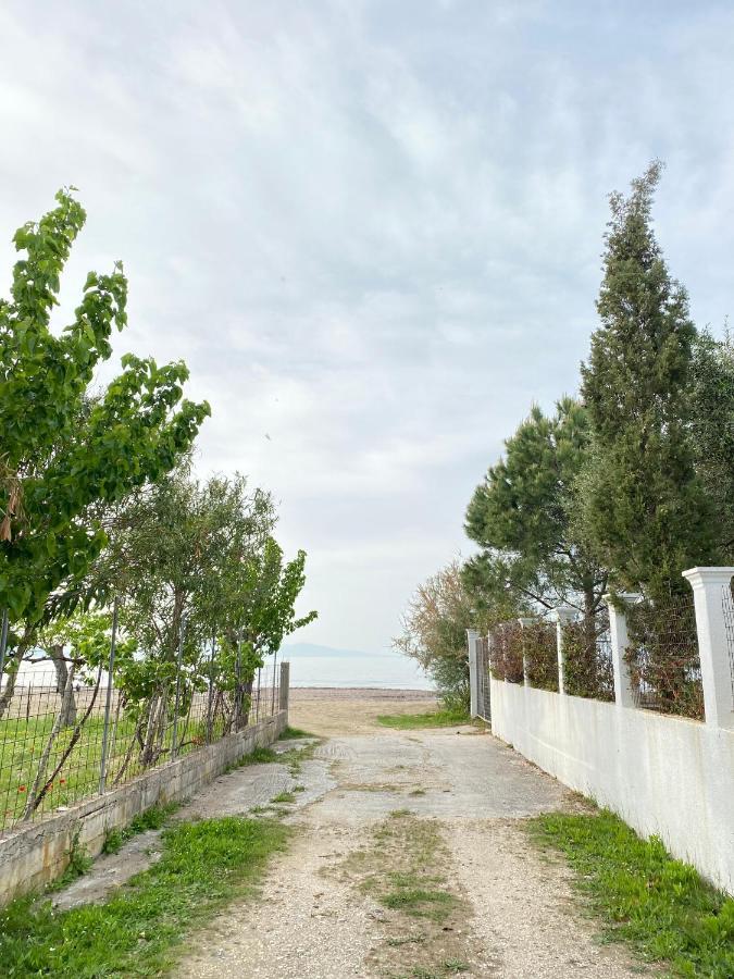 Endless Green: Feel Free And Cozy In Nature Περιβόλι Εξωτερικό φωτογραφία