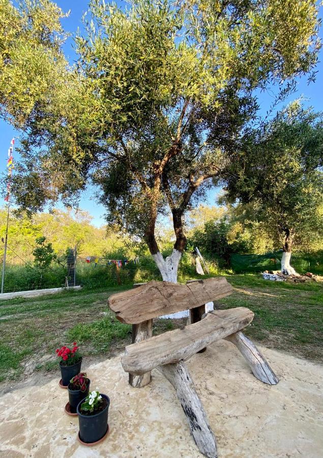 Endless Green: Feel Free And Cozy In Nature Περιβόλι Εξωτερικό φωτογραφία