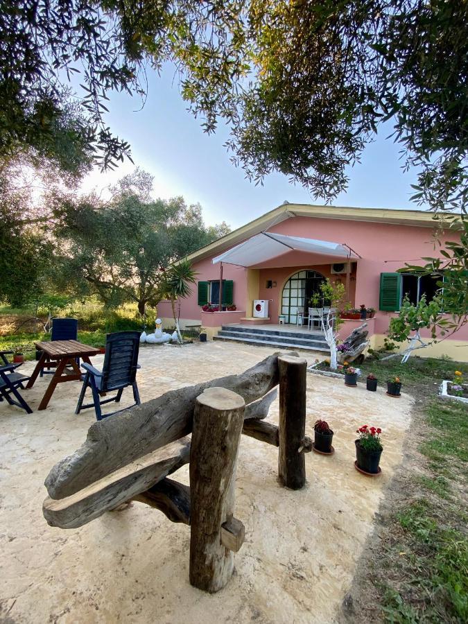 Endless Green: Feel Free And Cozy In Nature Περιβόλι Εξωτερικό φωτογραφία